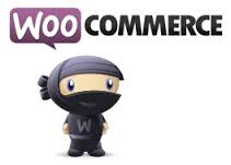 Woocommerce - WordPress Plugin